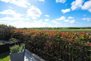 Photo 17- click for photo gallery